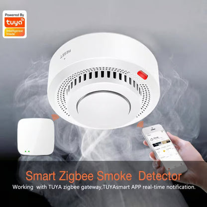 WiFi Smoke Detector Alexa & Google Home